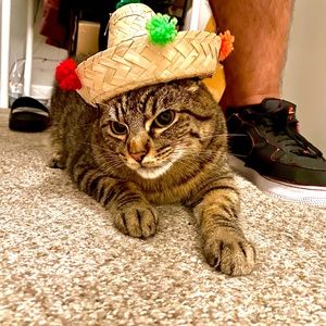 Meet your Posher, Marco